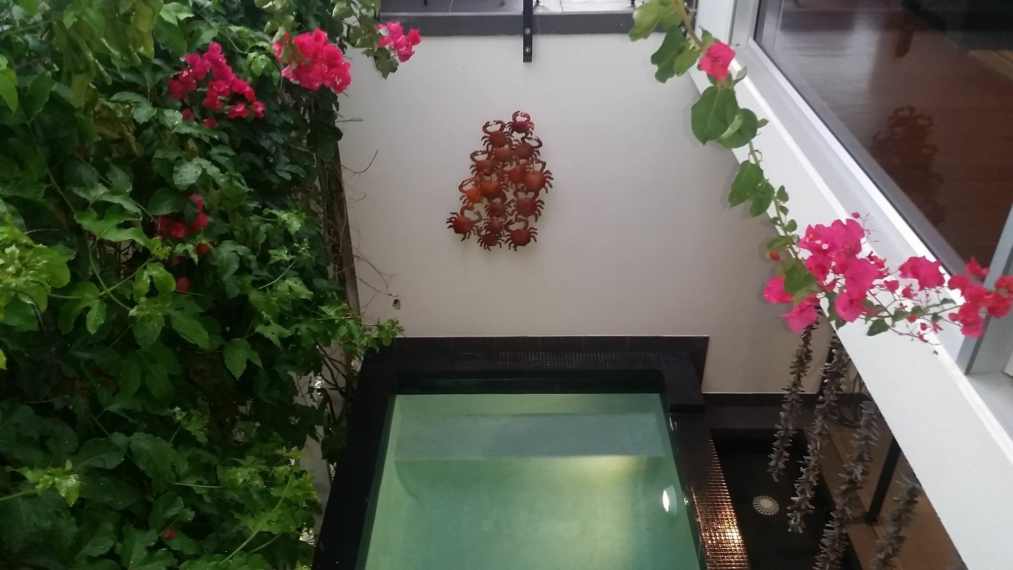 Sunrise Cove Holiday Apartments By Kingscliff Accommodation Εξωτερικό φωτογραφία